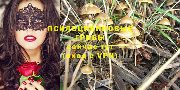 герыч Карпинск