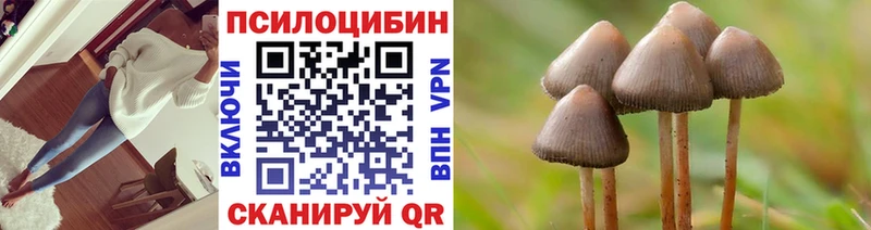 Псилоцибиновые грибы ЛСД МЕГА как войти Сасово